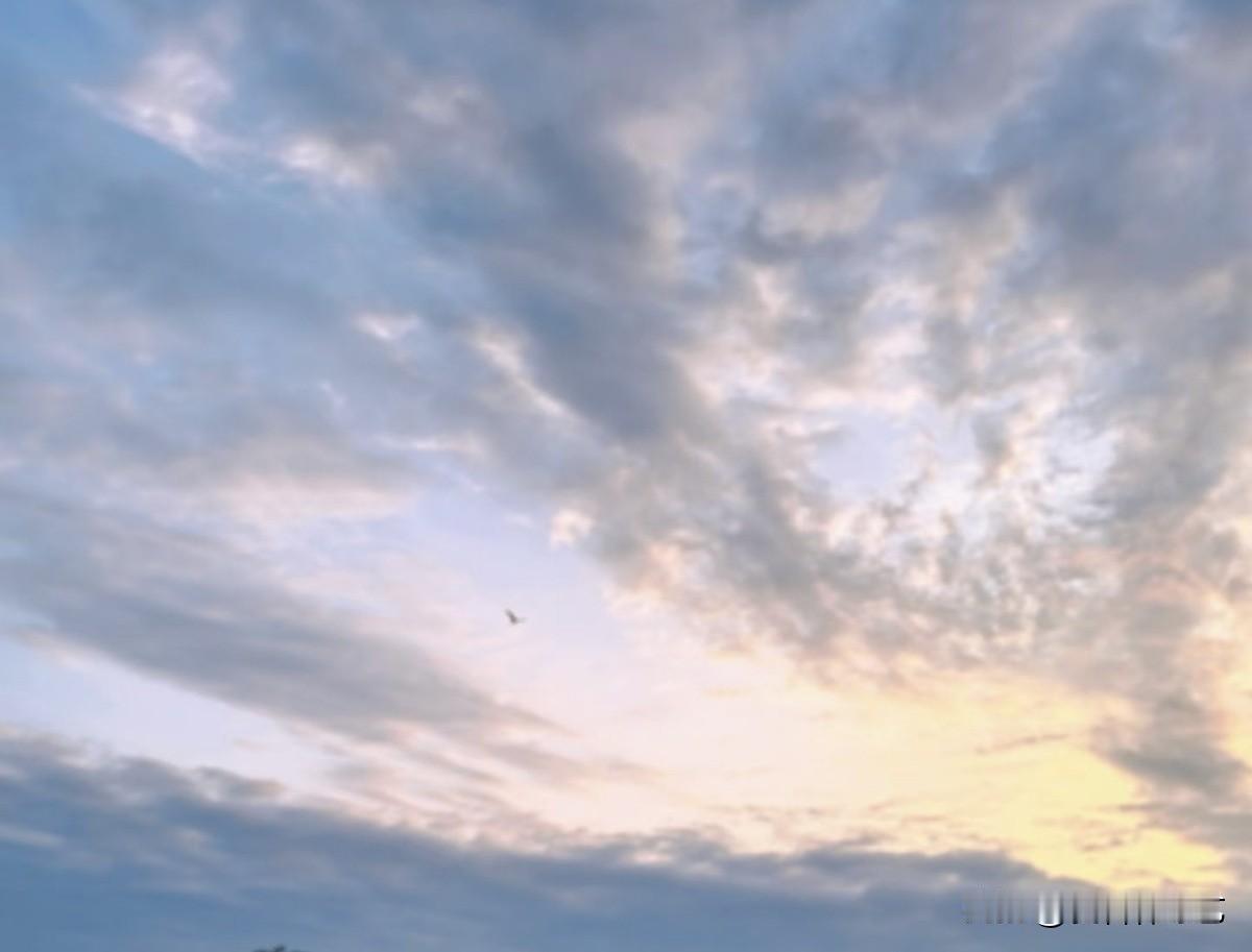 今年春天最想实现的心愿云絮揉着淡紫与暖黄，像把黄昏的甜裹进了软雾里。孤鸟剪过这抹