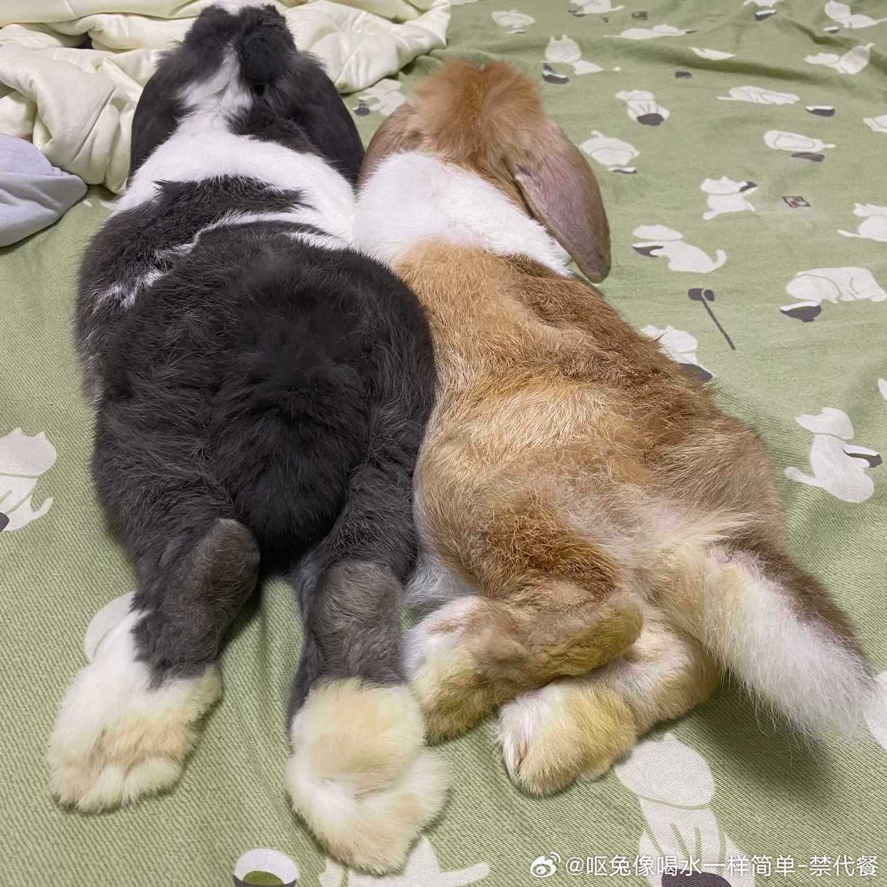 15283🐇【】舍友每次不洗脚就上我的床，怎么办！[哼] ​​​