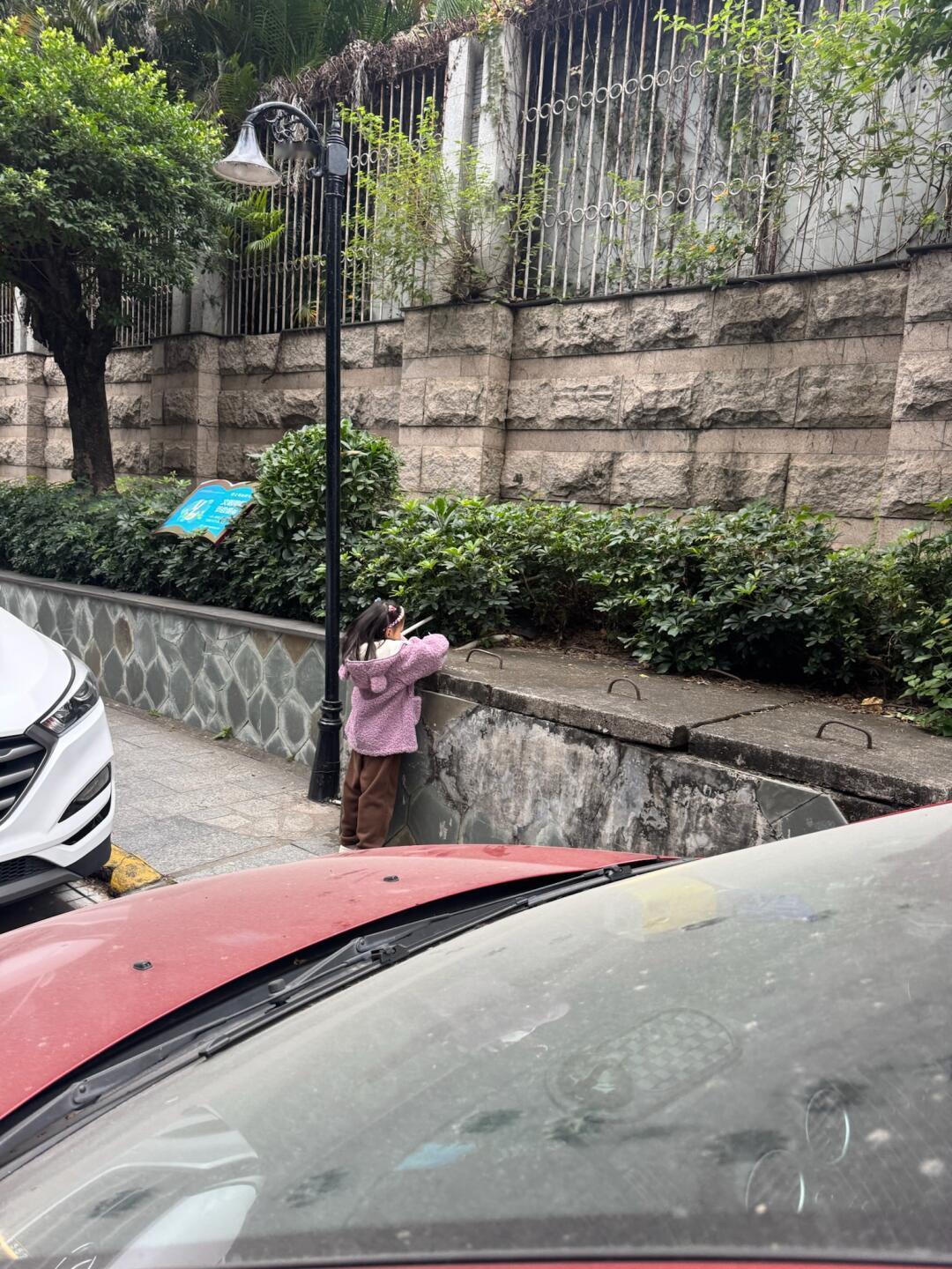 偶遇小女孩留下牛奶帮助小猫[抱一抱] 