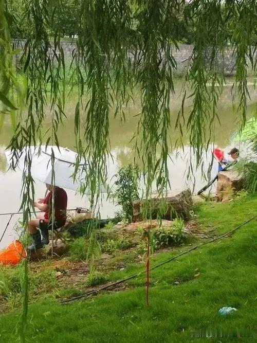 暮春闲钓 
 其一
乱风吹尽落红狂，
草满长堤燕远翔。
静对斜阳垂素钓，
闲观蛙