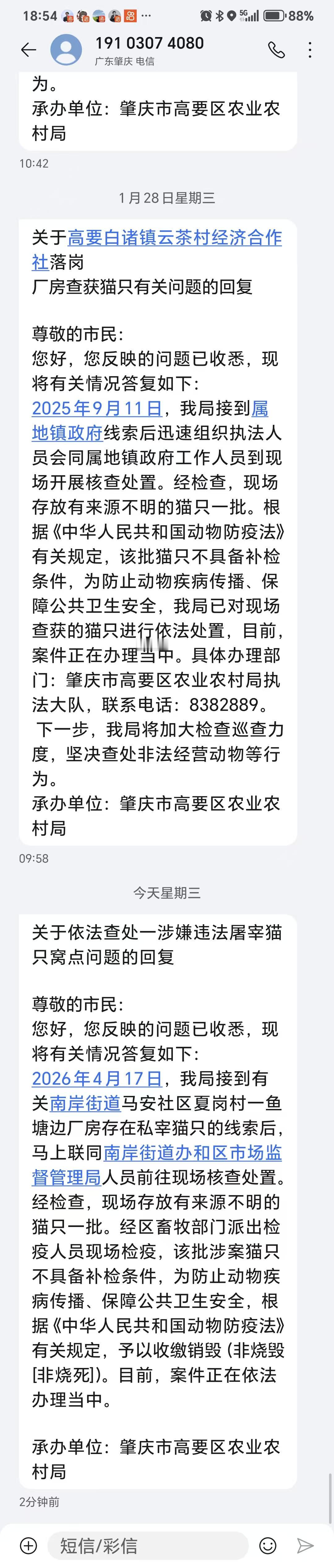 紧急扩散  广东肇庆猫咪要被集中销毁了！谁有肇庆救助群转发一下，寻找附近志愿者救