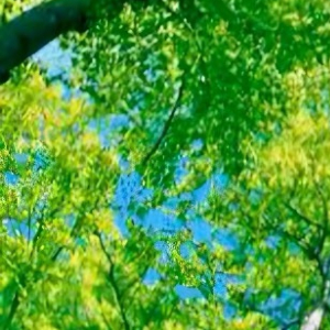 阳光信用 阳光信用 每日一善 人生最珍贵的六种财富：一是洋溢在容颜上的自信，二是