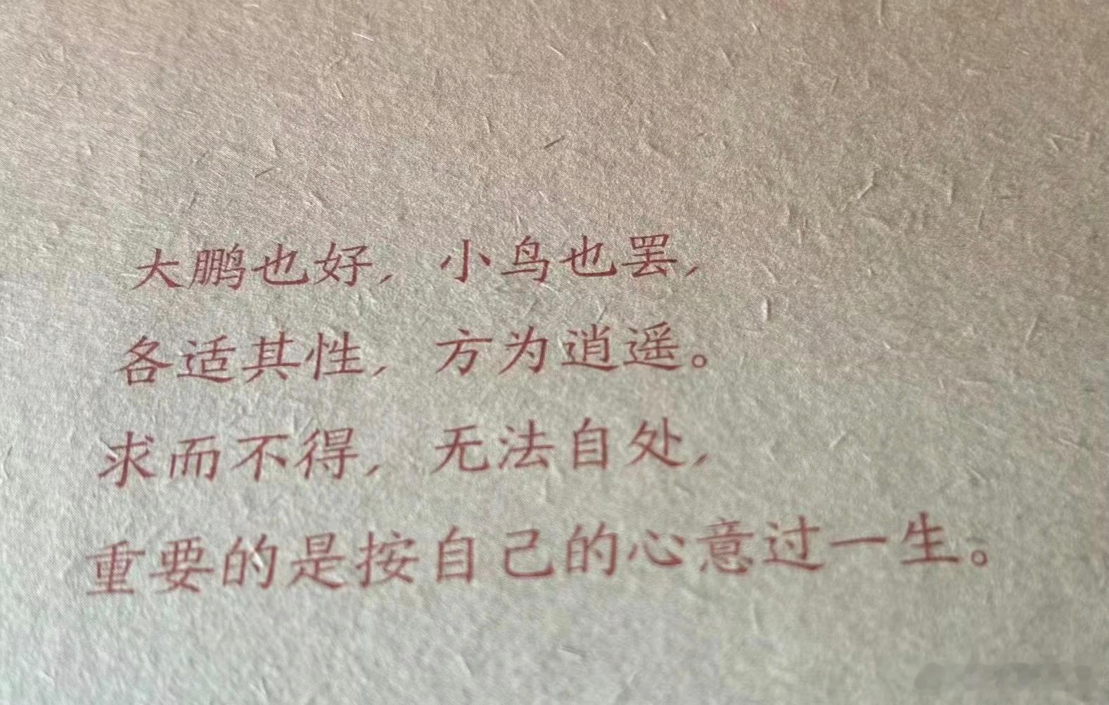 按自己的心意过一生，太难了