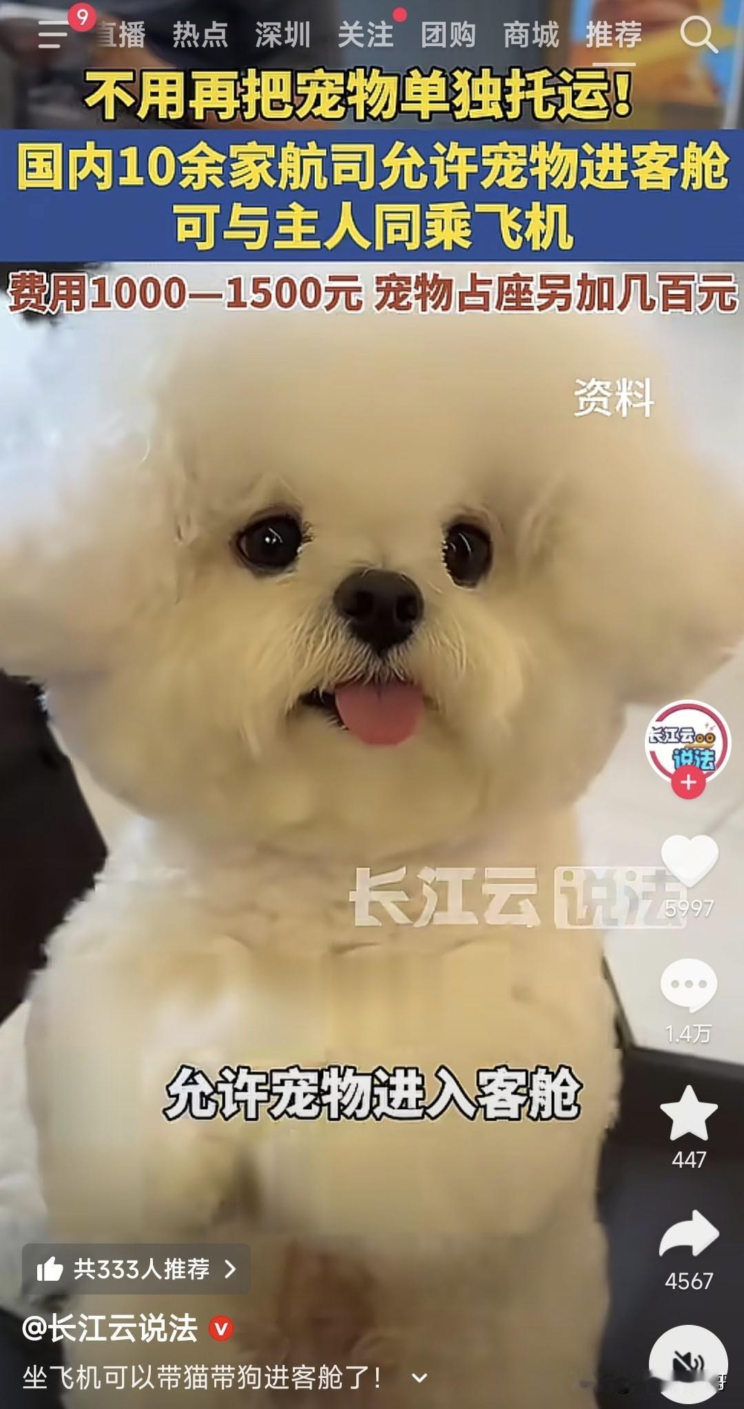以后宠物也可以坐飞机了！
国内10余家航空公司允许宠物进客舱，有的甚至还可以有座