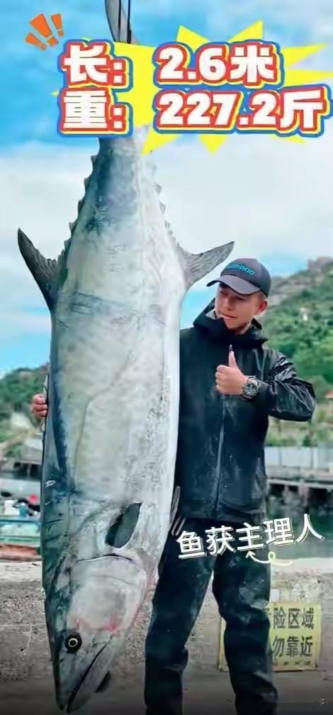 太震撼！男子钓出227.2斤鱼王，5个壮汉才抬动，这幕藏着最戳人的真相
 
男子