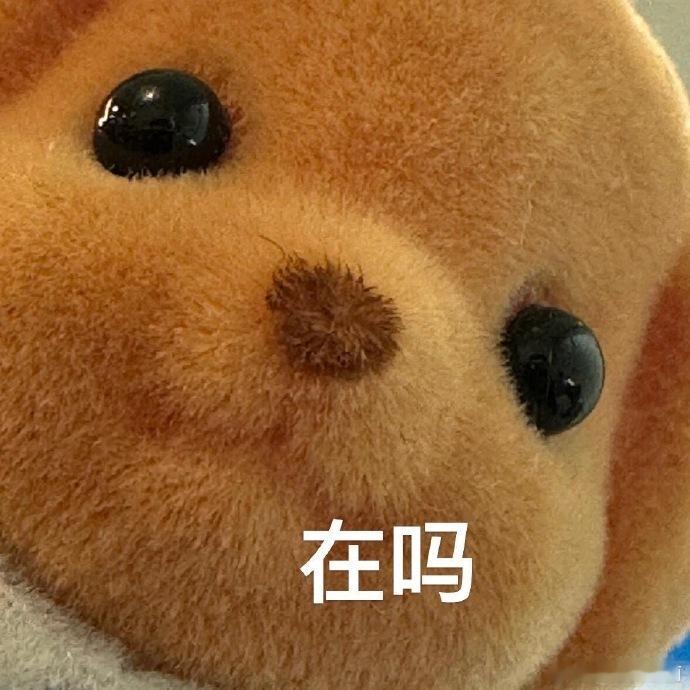 #今天追了什么剧# ​​​