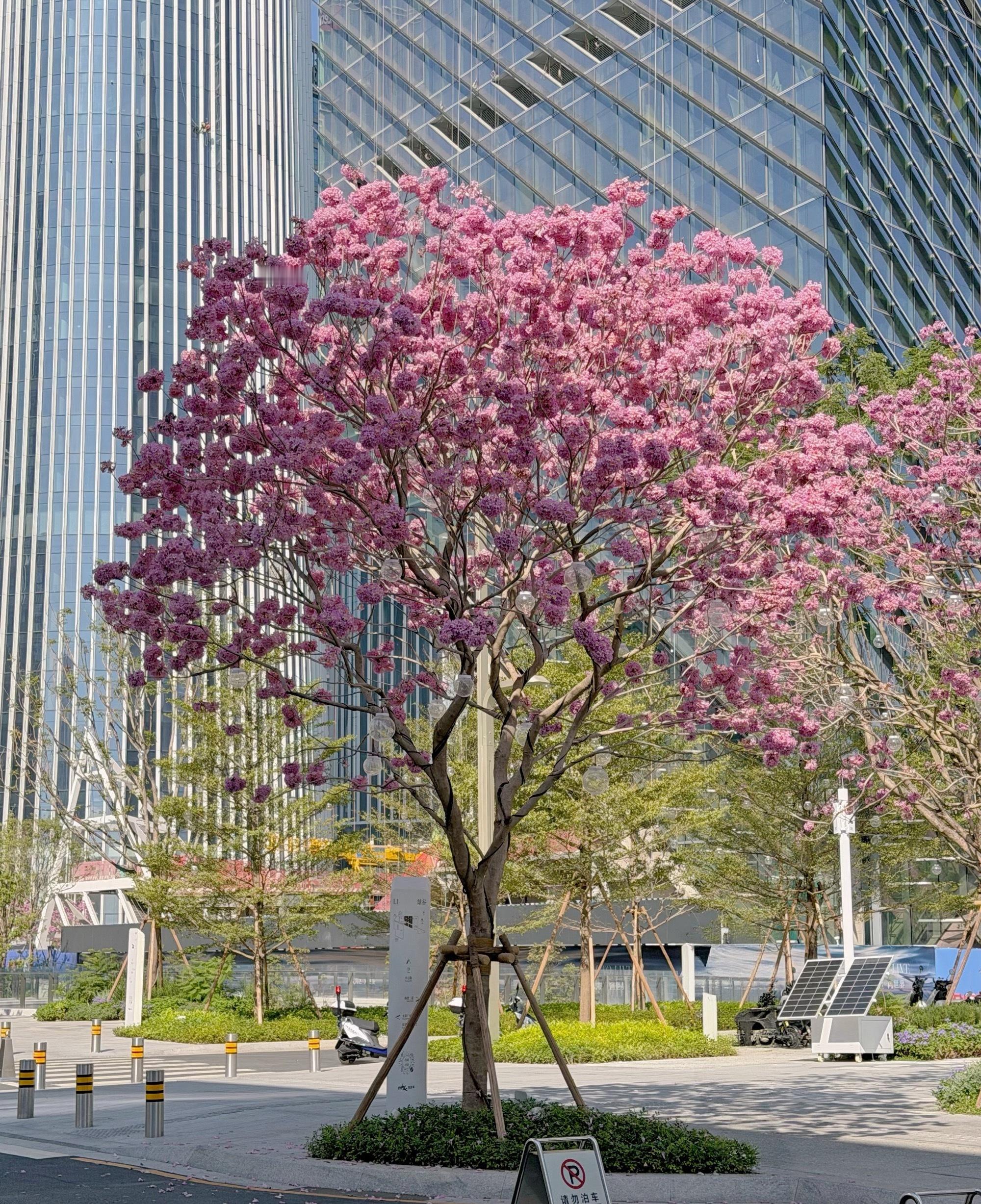 年龄越大，越学会了顺其自然，不想再挽留什么，相信该在的不会走。得之坦然，失之淡然