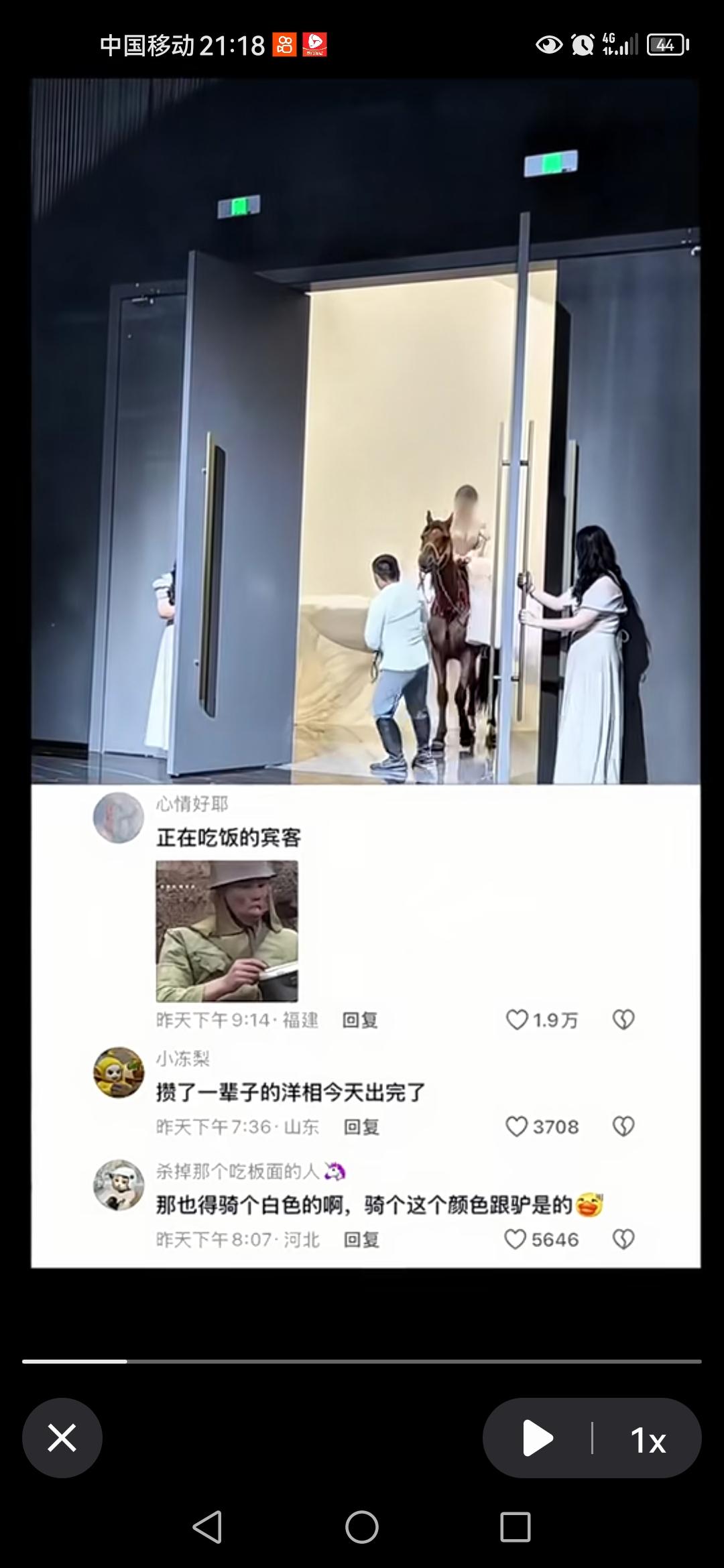 感觉不伦不类的，就是感觉马出现在这种室内很奇怪，新娘穿着白色婚纱骑着一匹棕色的马