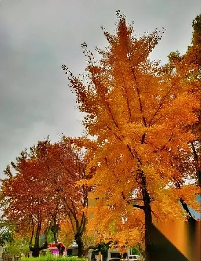 别总把“最好的”，留给别人

却把“将就”，

留给自己。

你是不是也犯过这毛