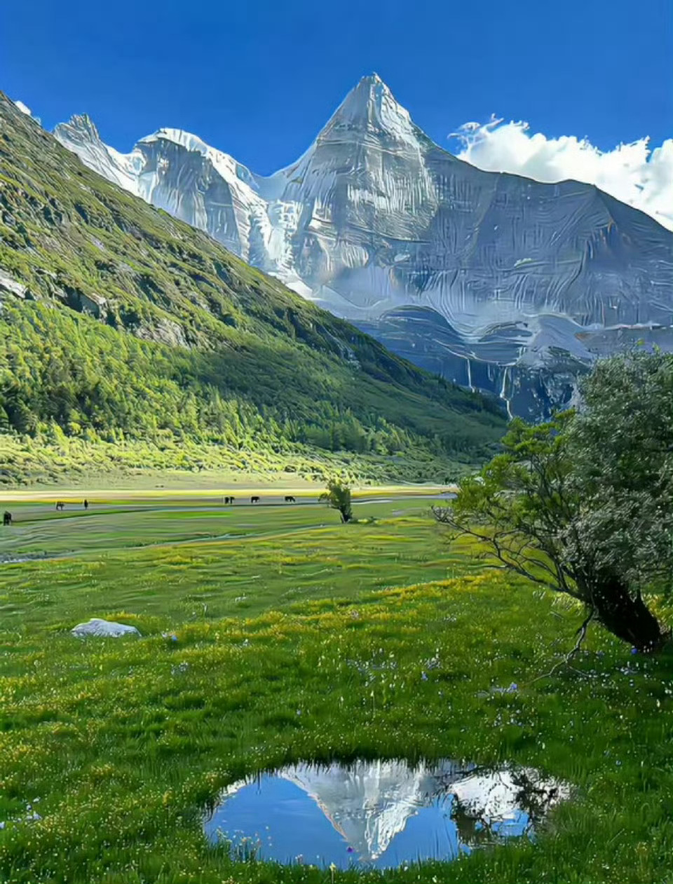 年轻人的出行偏好有多真实不晕车排打车需求第4谁懂啊，打车最怕遇到猛加速急刹车，能