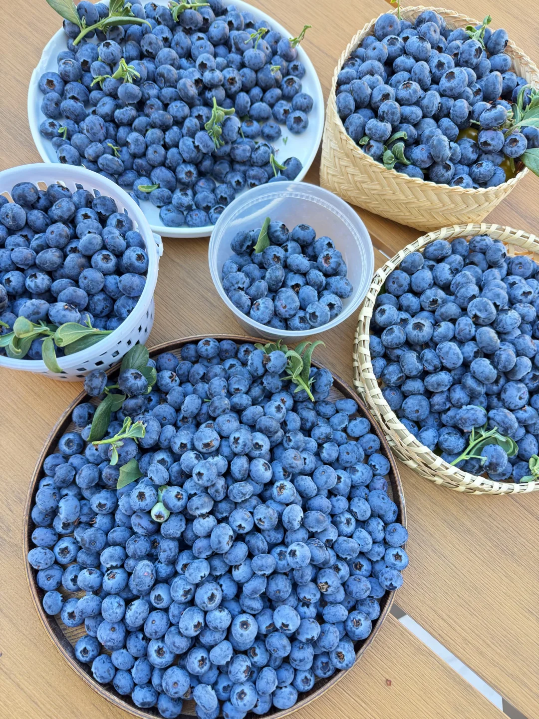 云南最该申遗的水果，吃完嘴巴都是香香的！