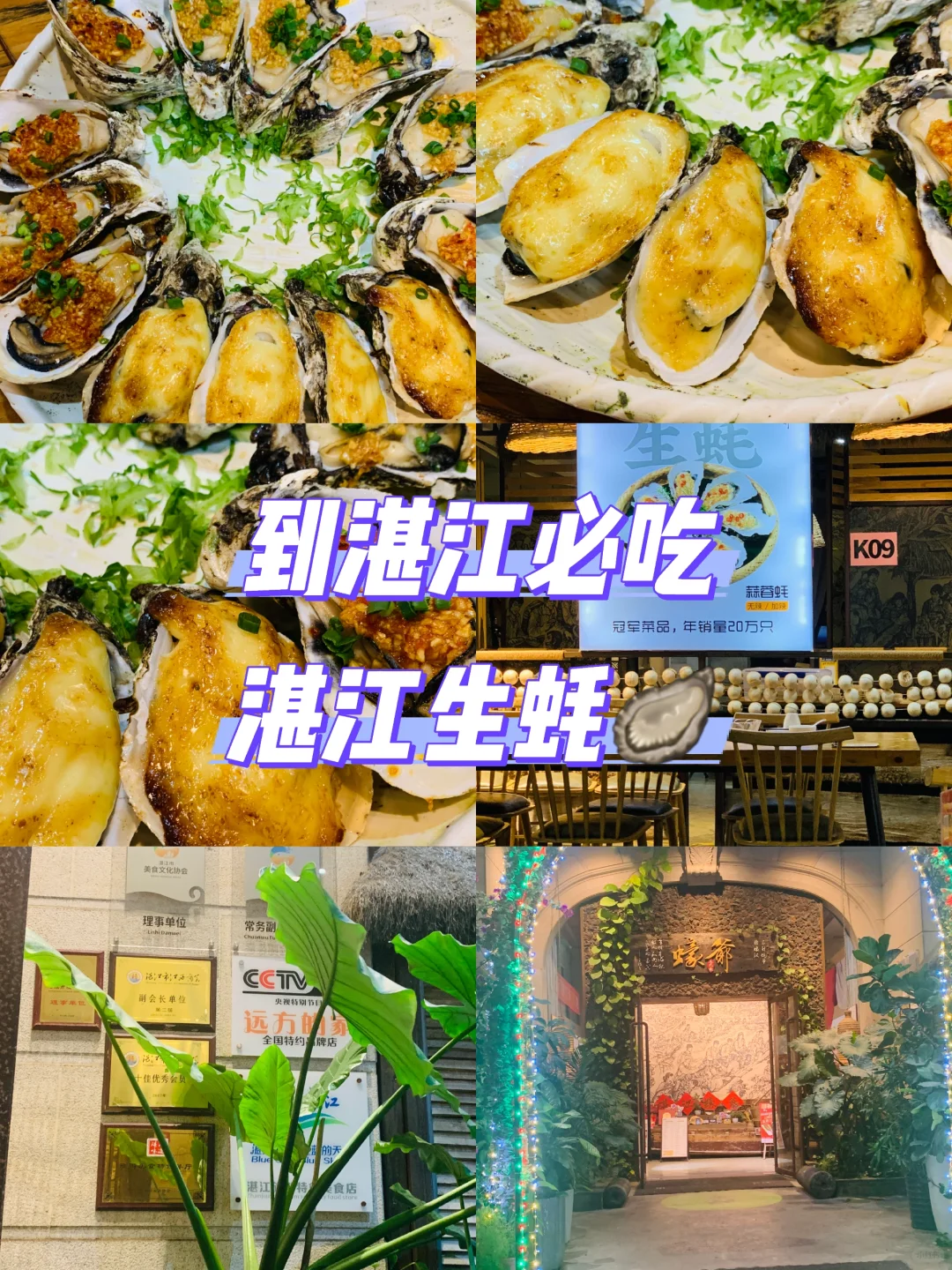 我爱生蚝🦪到湛江必吃！湛江美食攻略分享