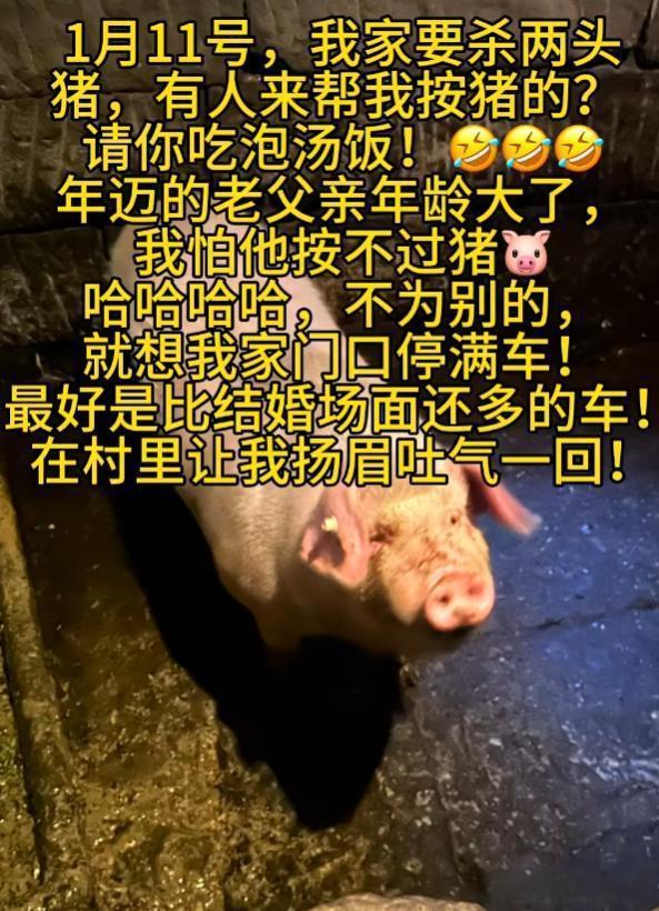 两个字，炸了。
昨天3000人去了她家，要分两头猪
观察当地文旅反应，我发现个有