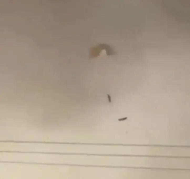 ​伊朗的防空体系还是比较过硬的。近日，美军的一架F-15战斗机突然间出现在伊朗的