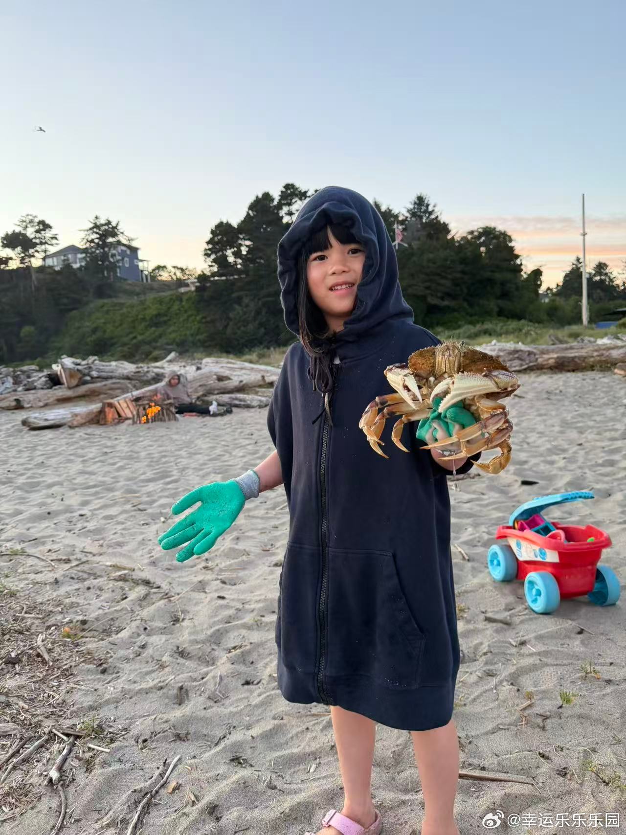 小侄女轻易就捉到了大大只的 Dungeness crab（珍宝蟹/邓杰内斯蟹），