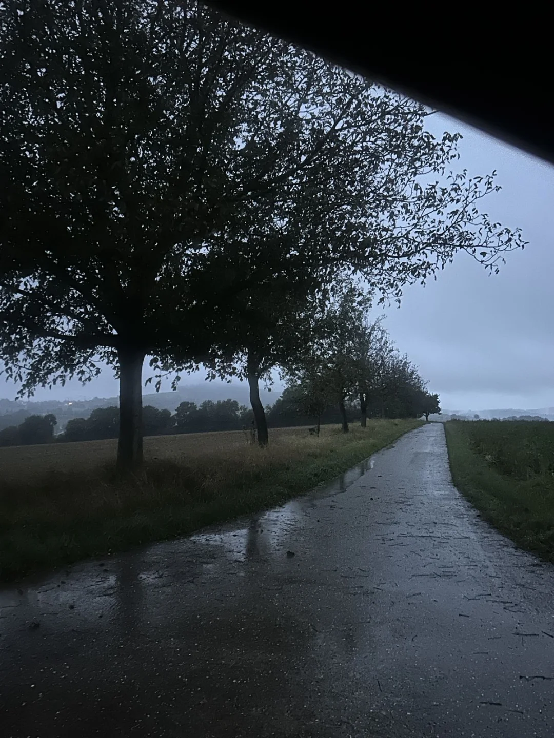 我看着世界的点点滴滴