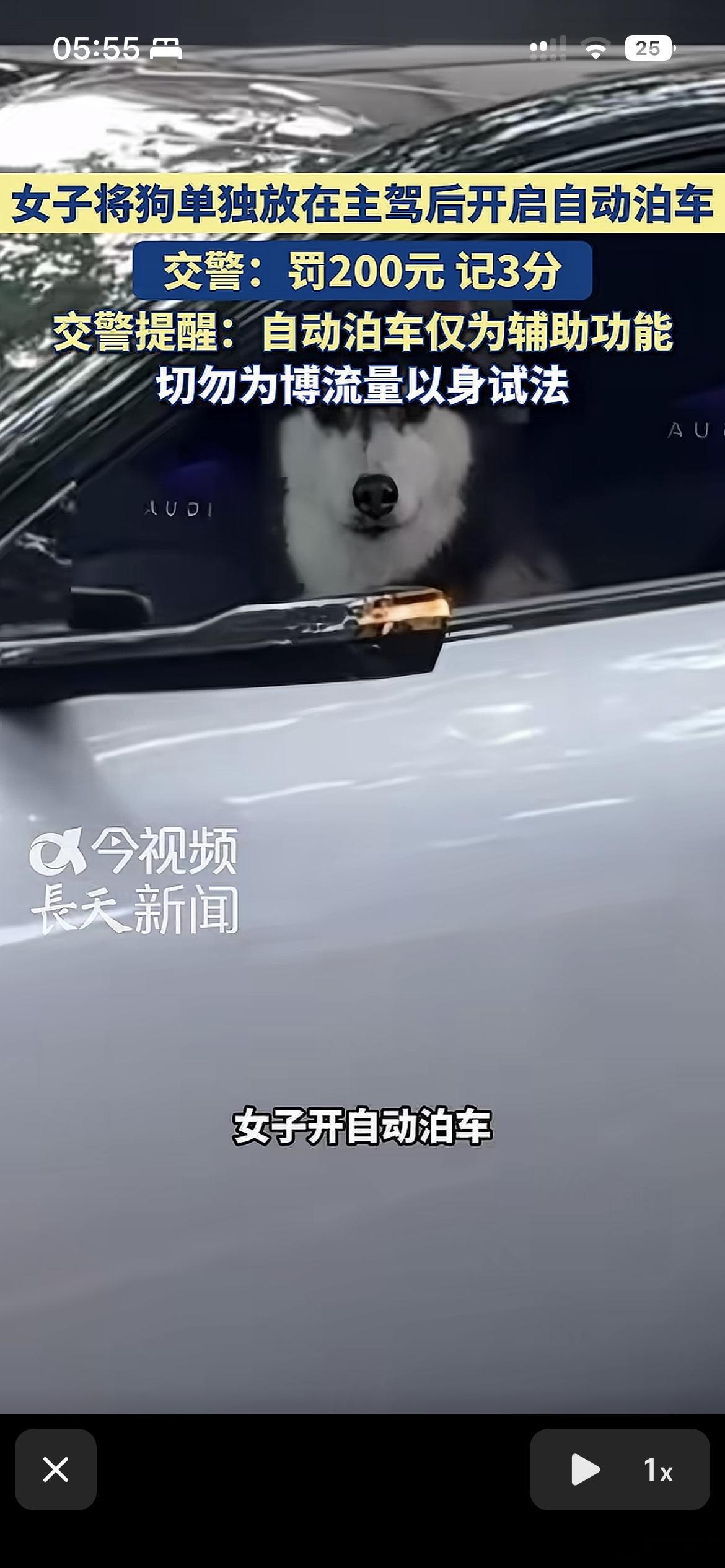 女子为吸睛竟把狗放主驾开自动泊车请注意这不是阿维塔，塔子的电后没这么难看，别再发