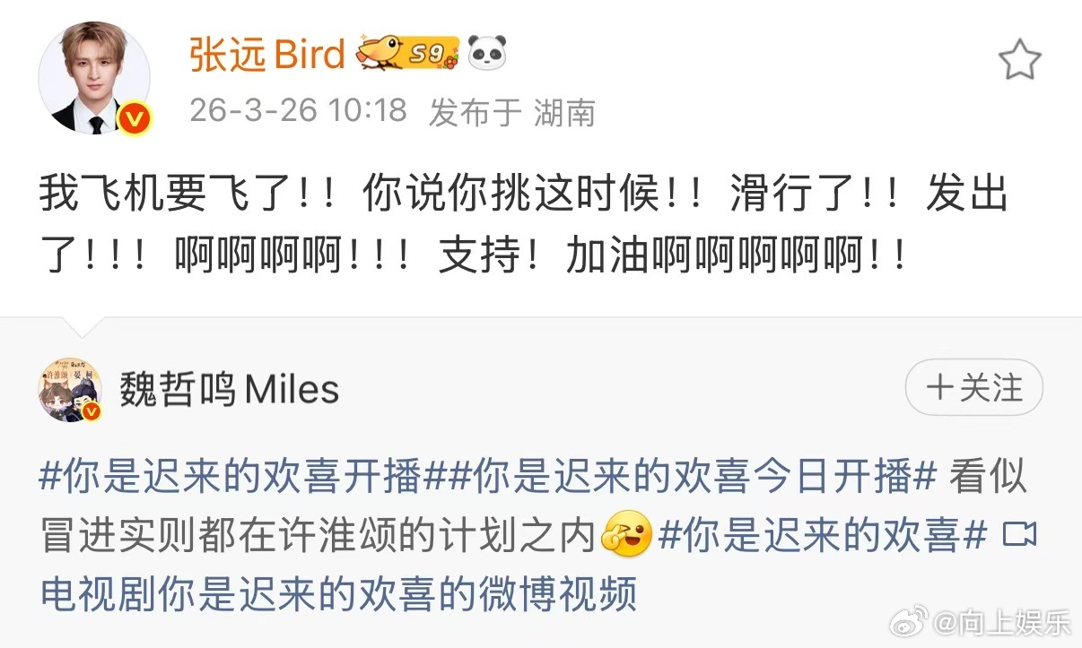 张远给魏哲鸣新剧打call张远用15个叹号给魏哲鸣打call 张远给魏哲鸣新剧打