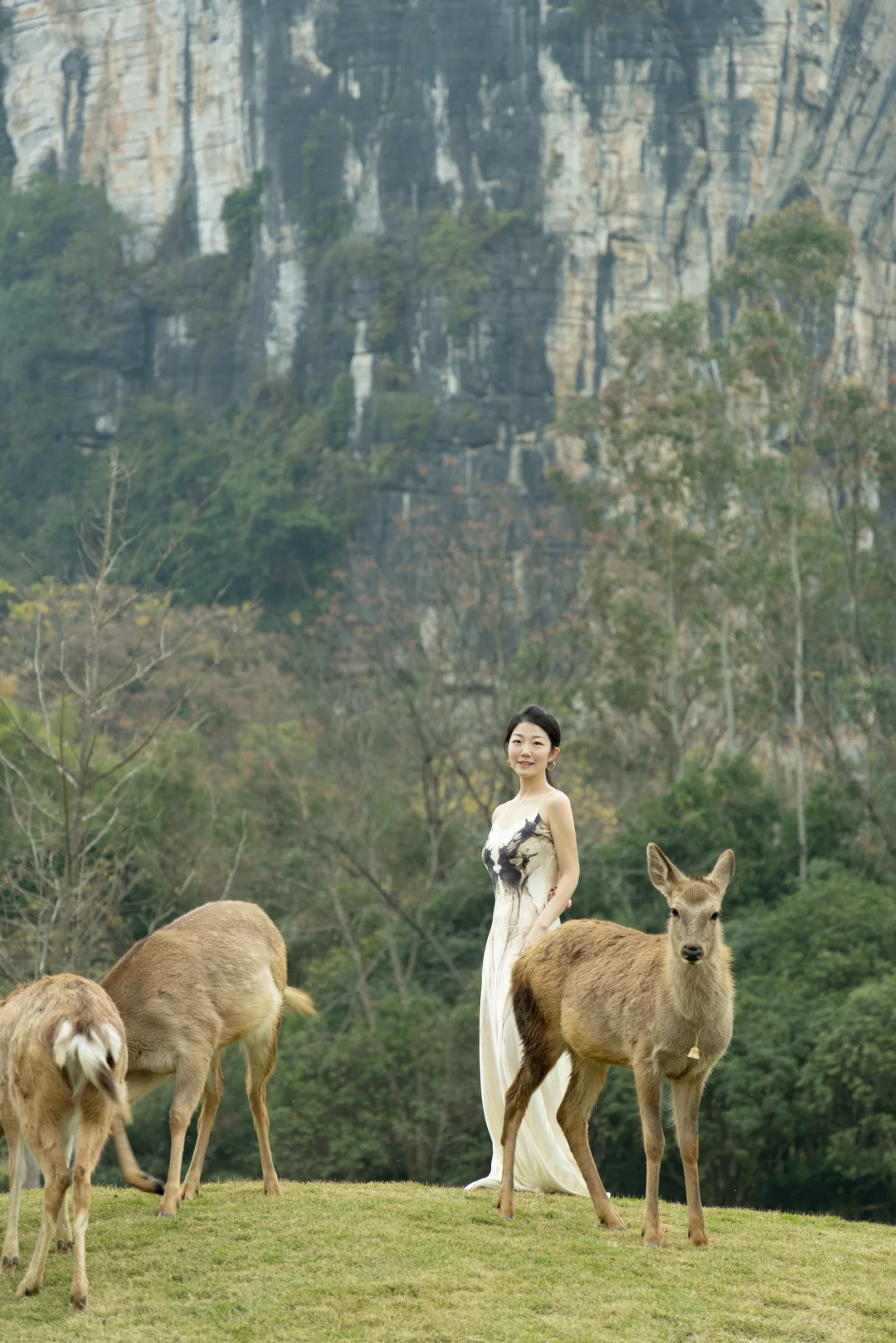 新年见鹿，福禄临门。🦌🦌🦌
