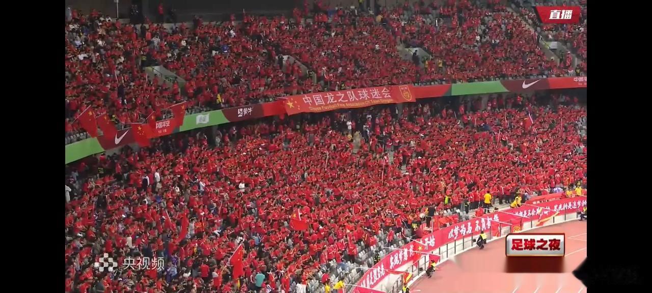 中国龙☞太极虎  即将上演龙争虎斗！