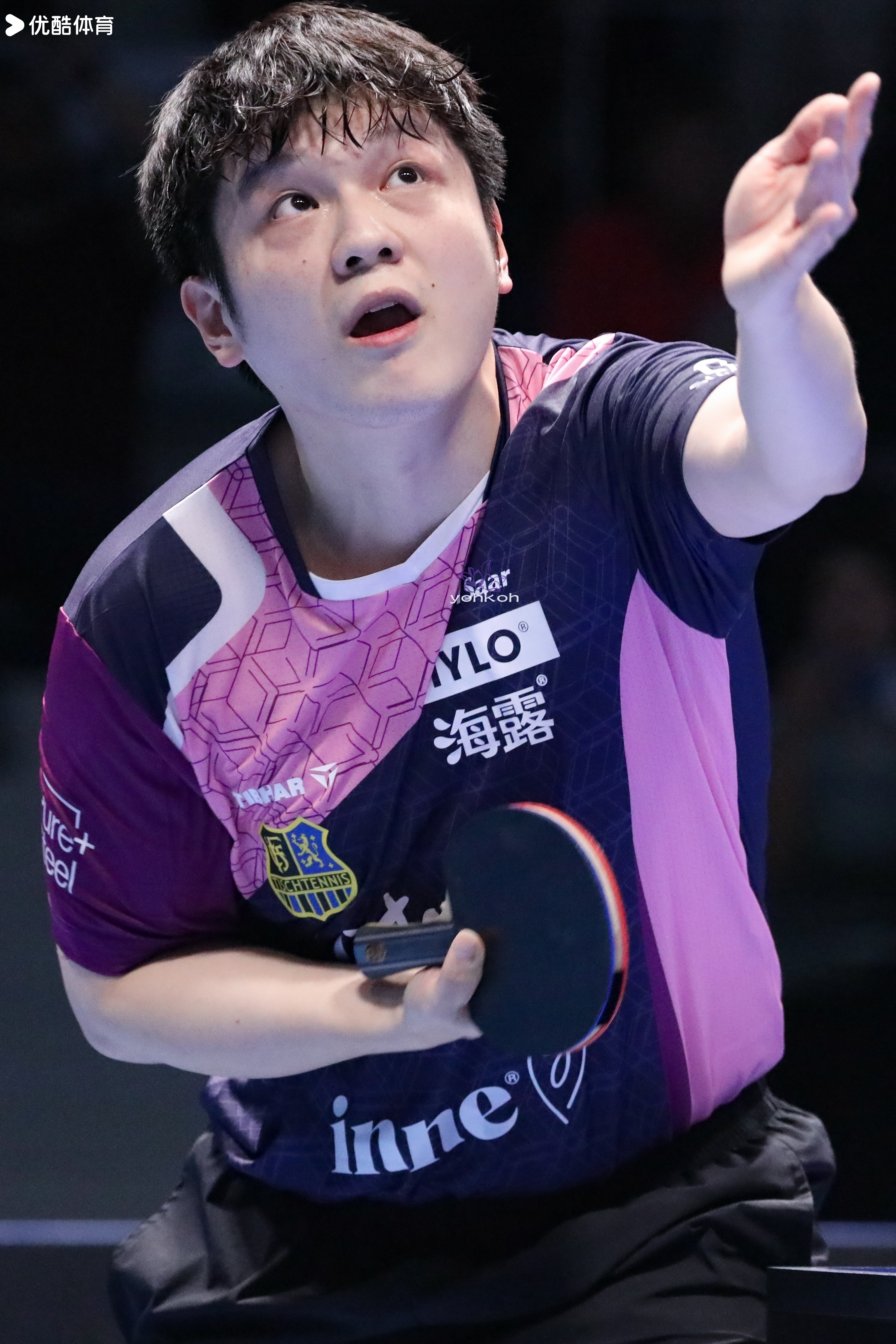 樊振东乒乓球欧冠联赛 我们总会重相逢「20260118乒乓球欧冠联赛」 东东午安