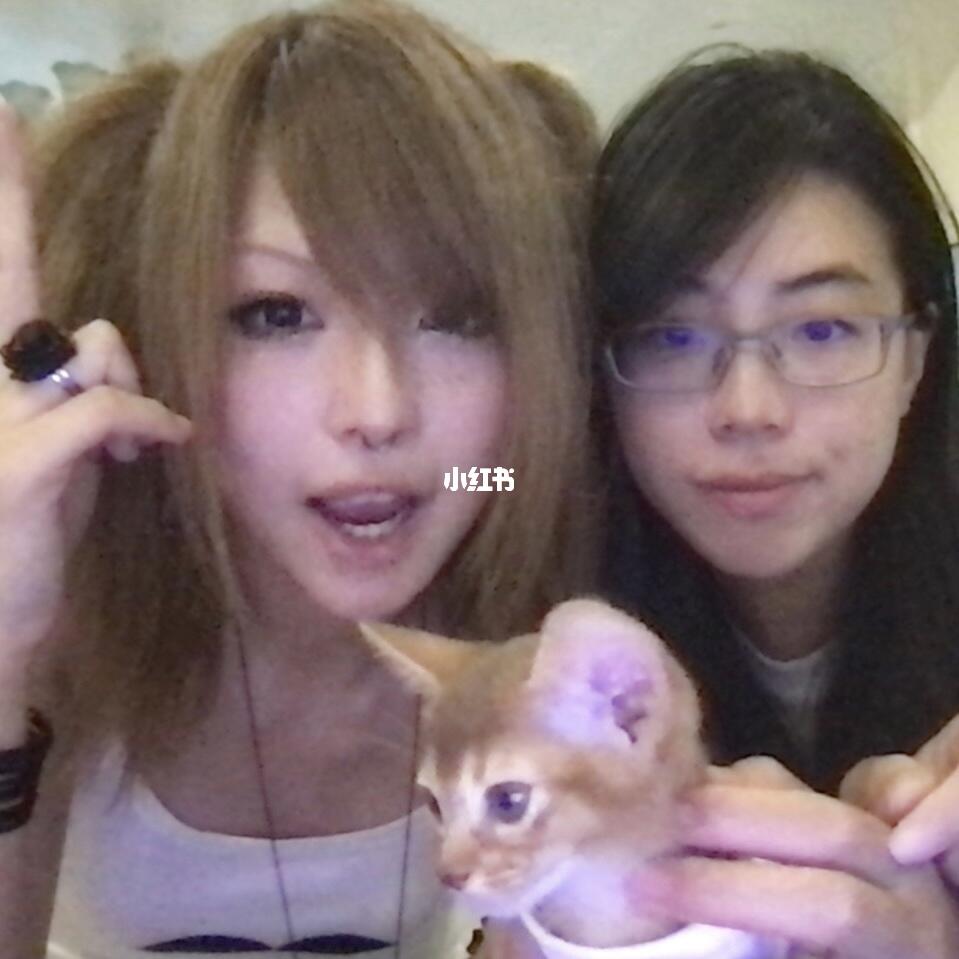 三周年( 𓏼˙ ᴥ ˙𓏼 )！