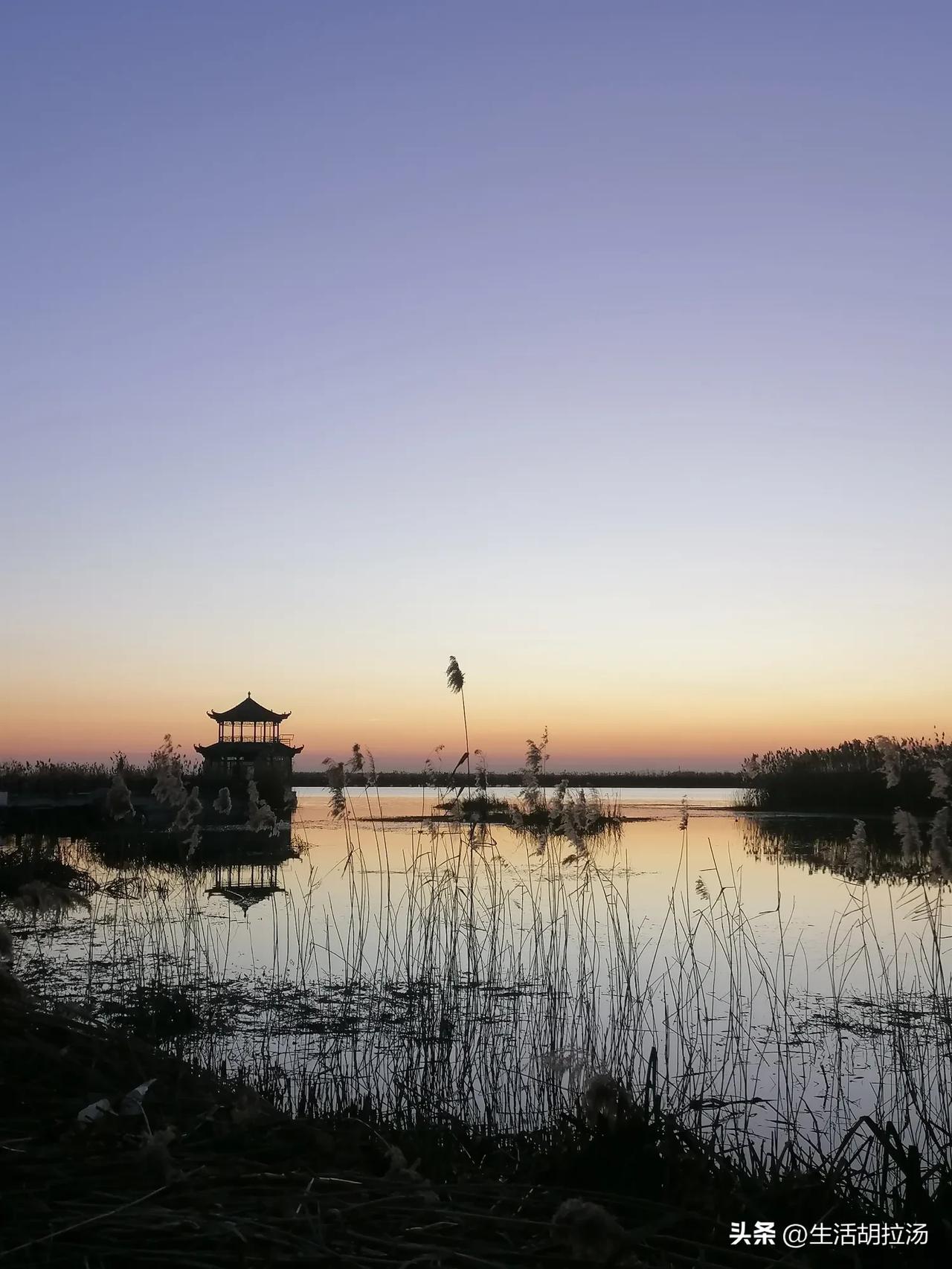 退休己经一年多，在家闲着无聊，沙发、手机、公园成了最熟悉的陌生人！
老伴也嫌我烦