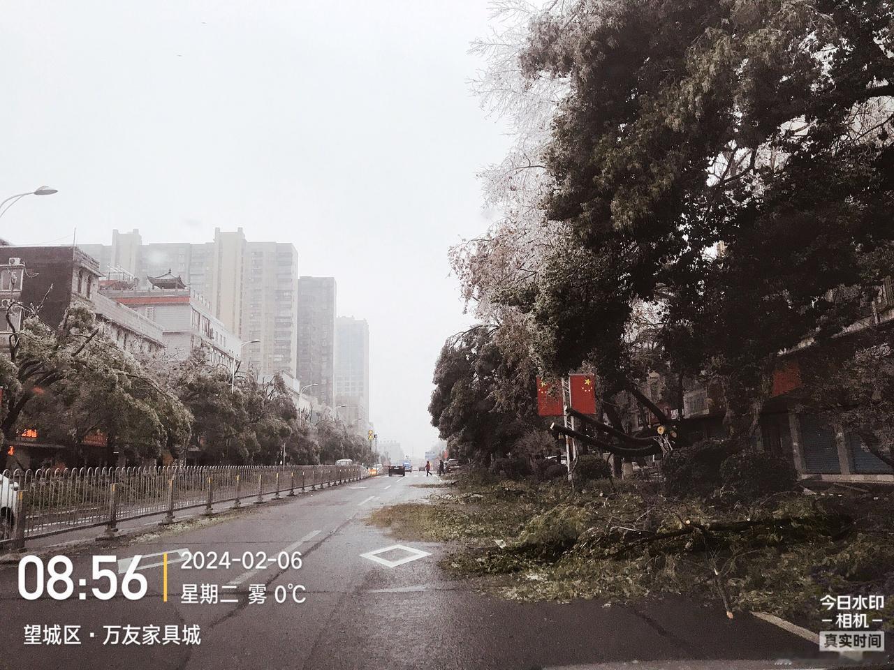 零度以下的美丽与愤怒。#极端天气 #城市风景一角