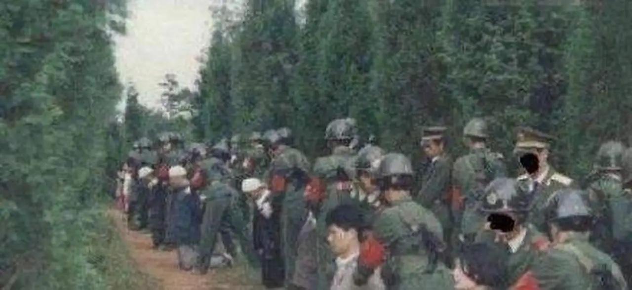 83年严打的时候，有一种玩法叫陪绑。

那个年代的“陪绑”，可不是字面意思的凑数