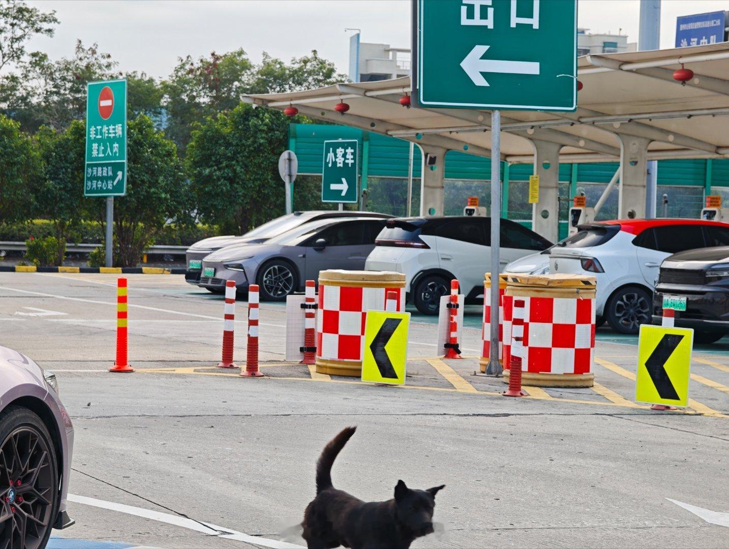 太离谱了吧，现在高速服务区充电桩居然都要两块钱一度电？？且是个超快（实际贼慢）充