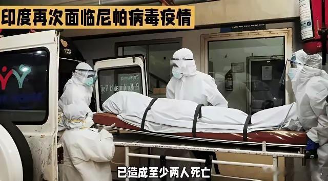 历史总是惊人的相似，又是临近春节，又是爆发新的病毒，三哥家这次的病毒叫“尼帕”，