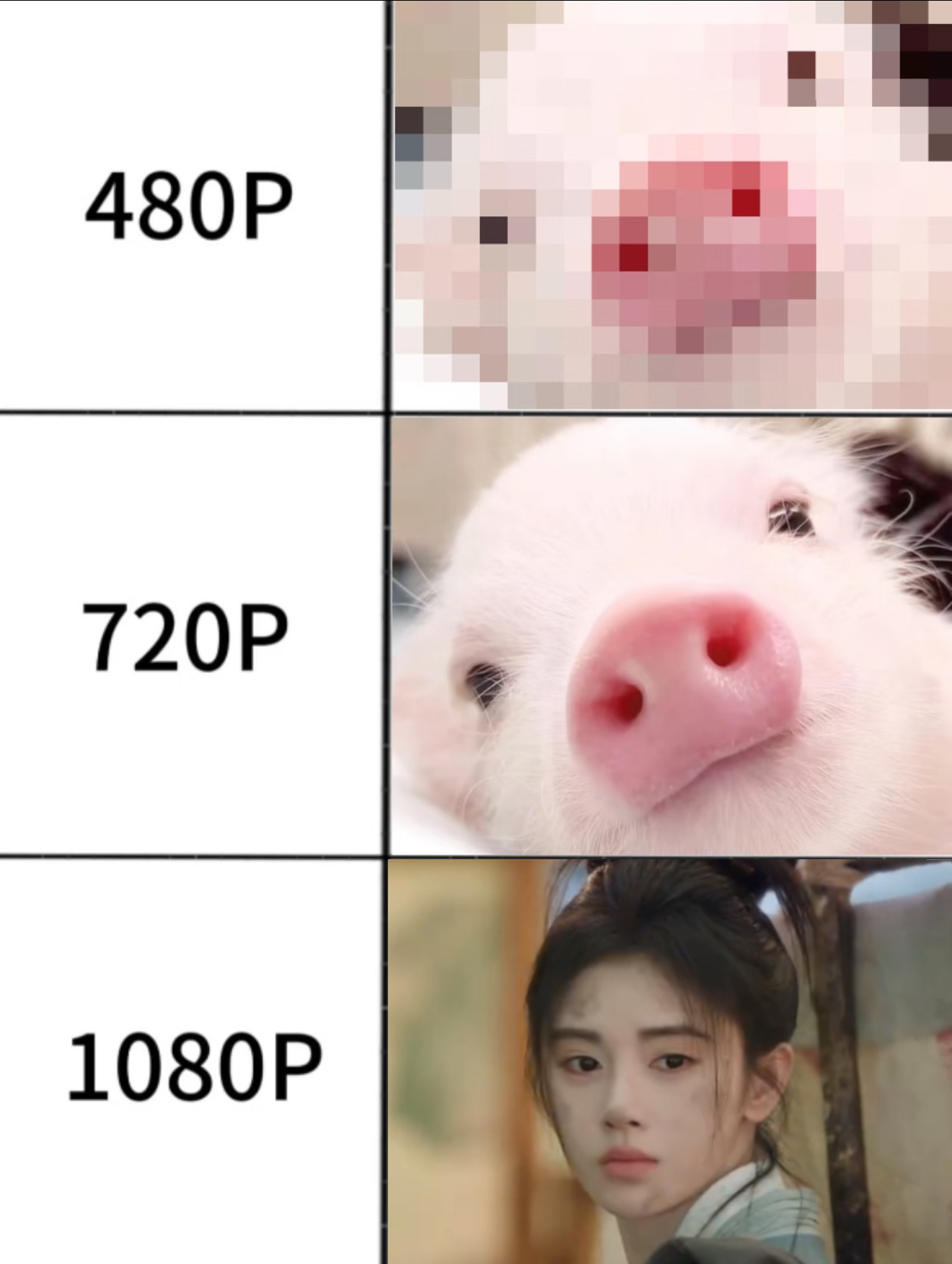 鞠婧祎姜黎非 看预告我家姜黎非就像个小猪一样拱来拱去可爱晕了🤤🤤 