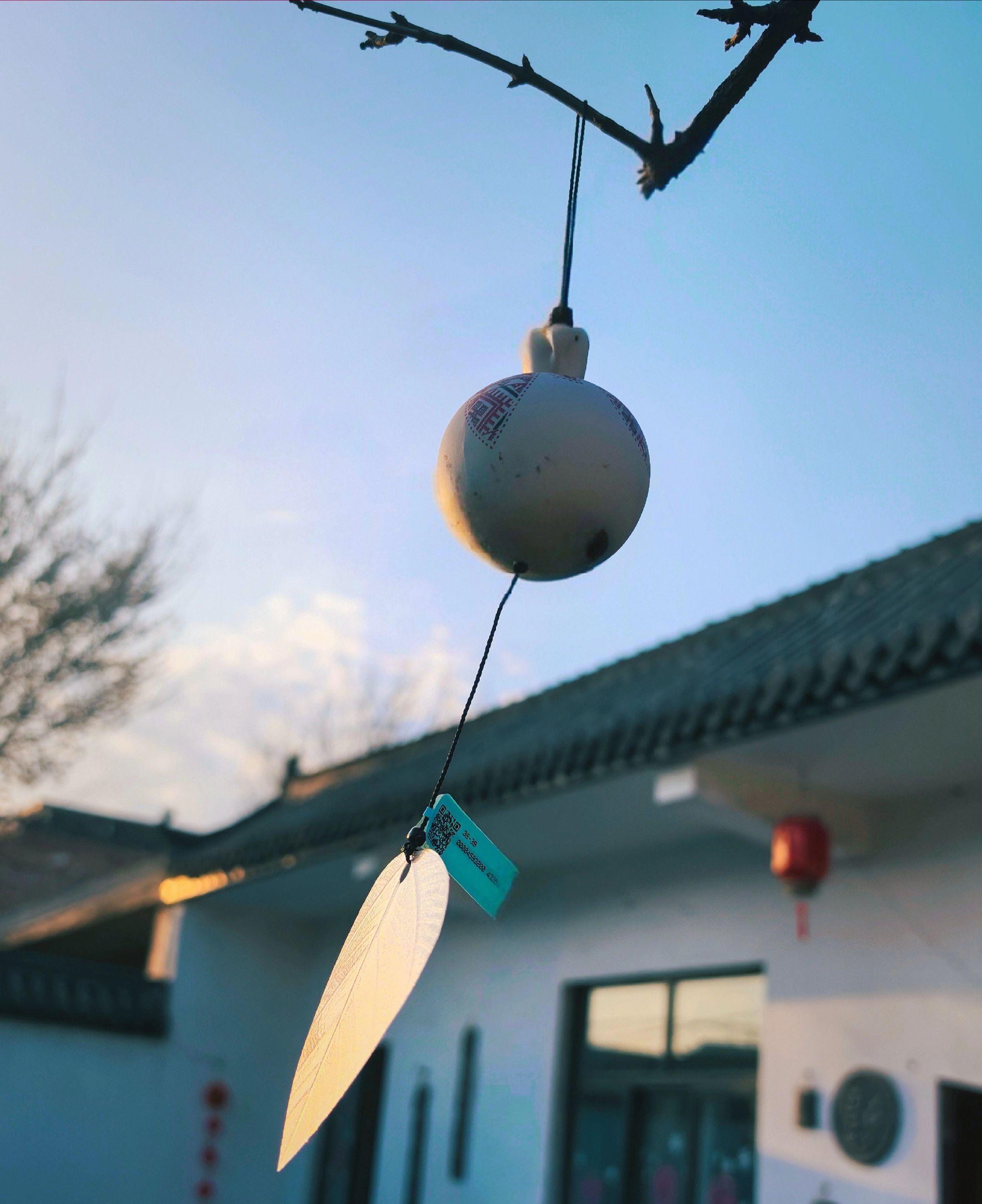 请放心，真正的有钱人是不会去补课卷教育的，你可以怀疑有钱人的品行，但你...