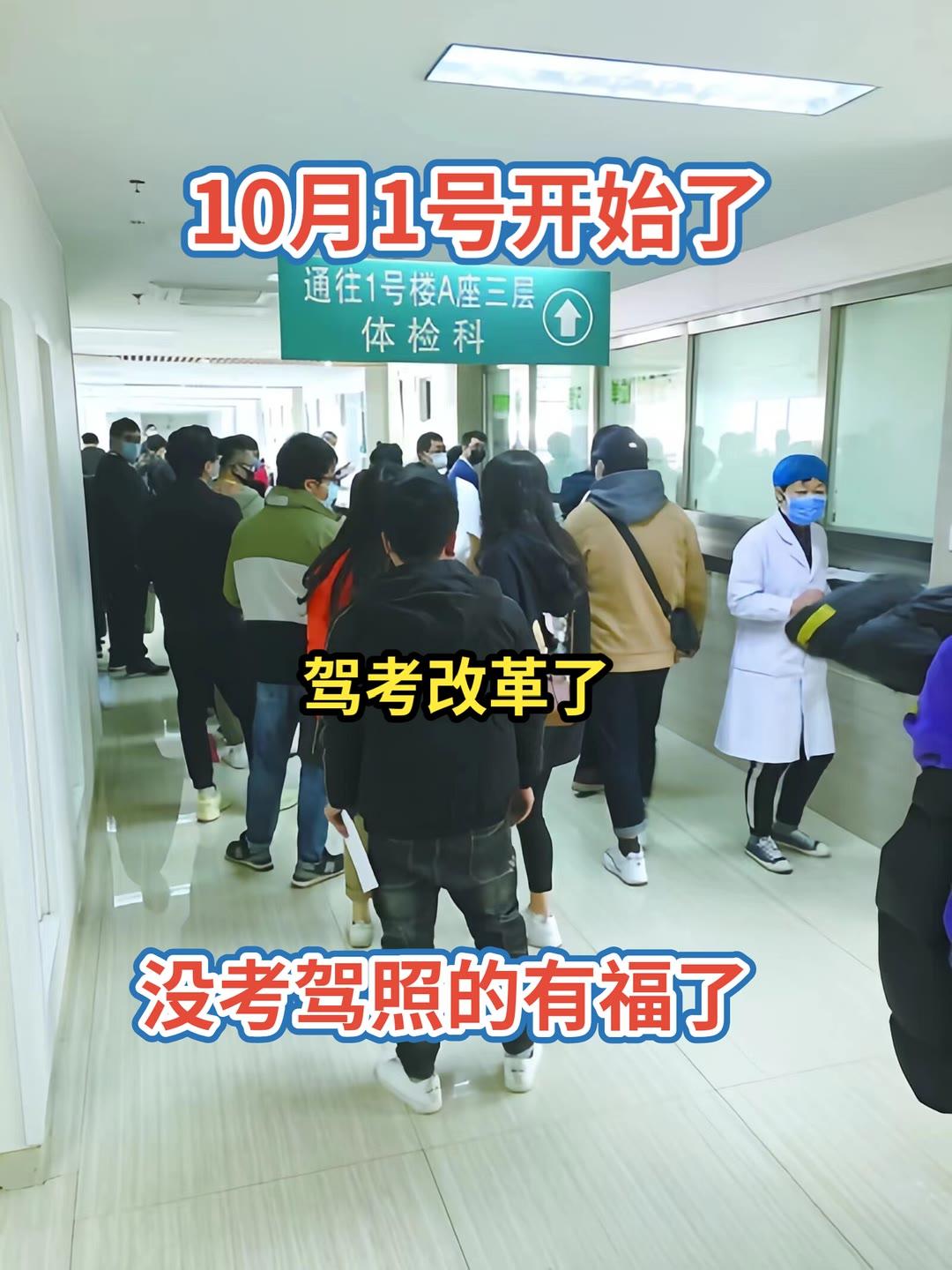 驾校学车 科一科四速成答题技巧 逢考必过 考驾照 驾考一把过