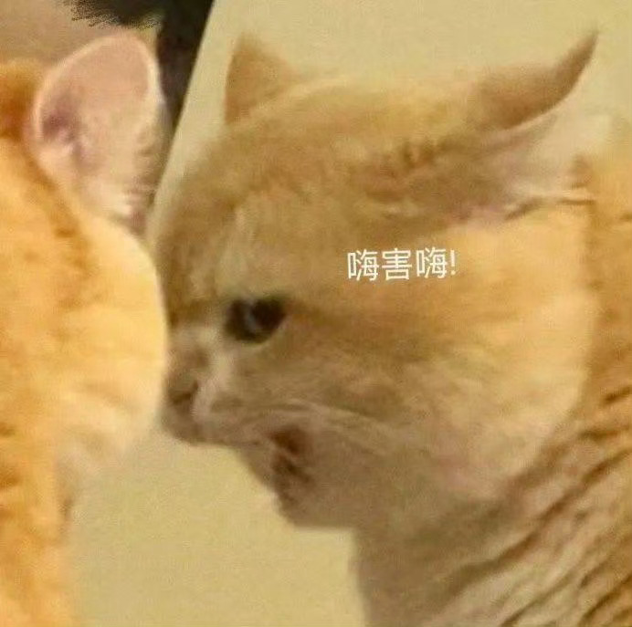 还有十天