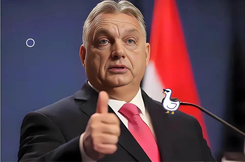 匈牙利公开宣布了
​据匈牙利媒体12月17日消息，匈牙利总理欧尔班对记者表示，对