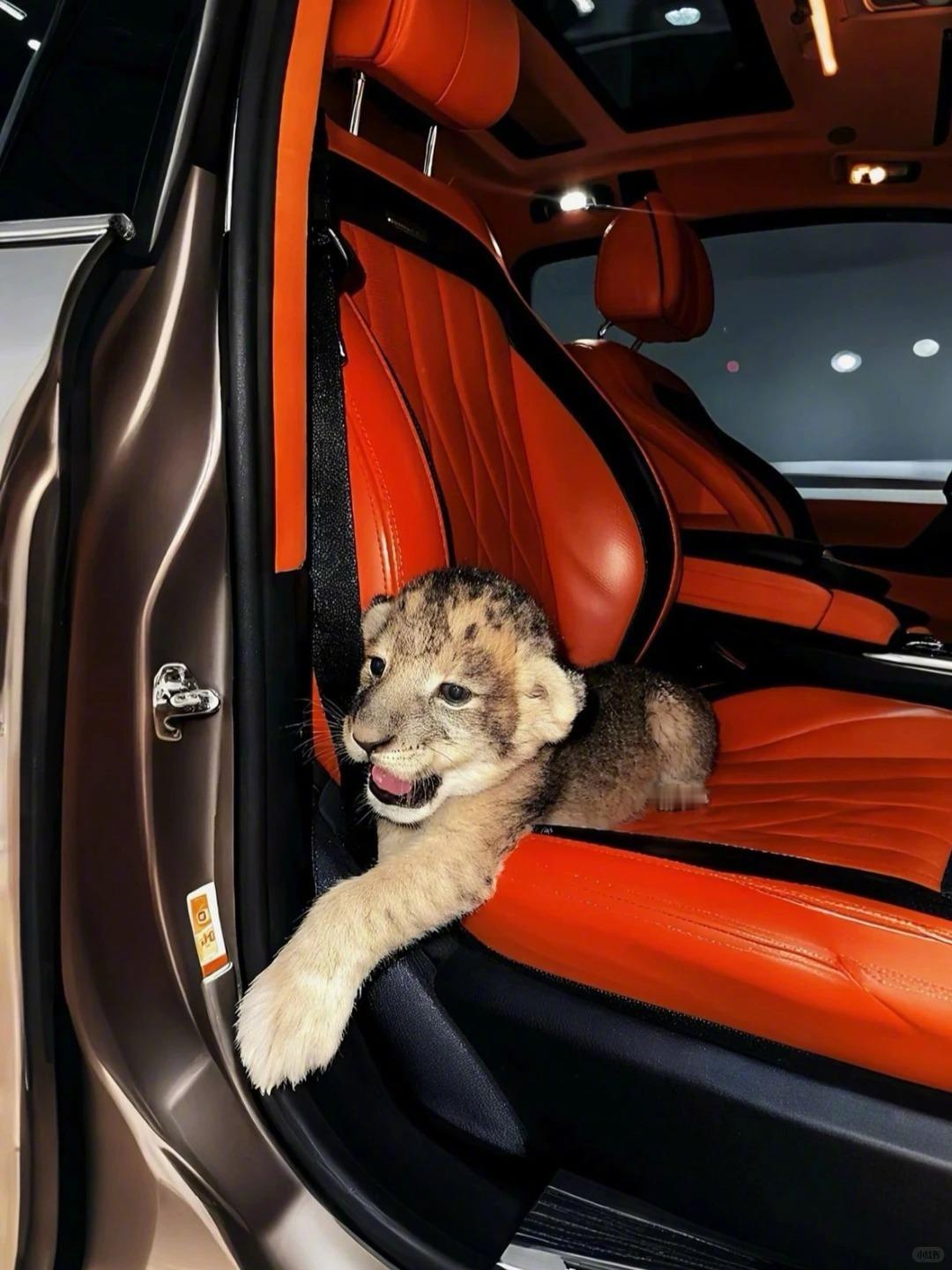 old money审美积累老钱风轻奢生活保时捷大G