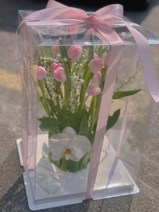 女神节的花花