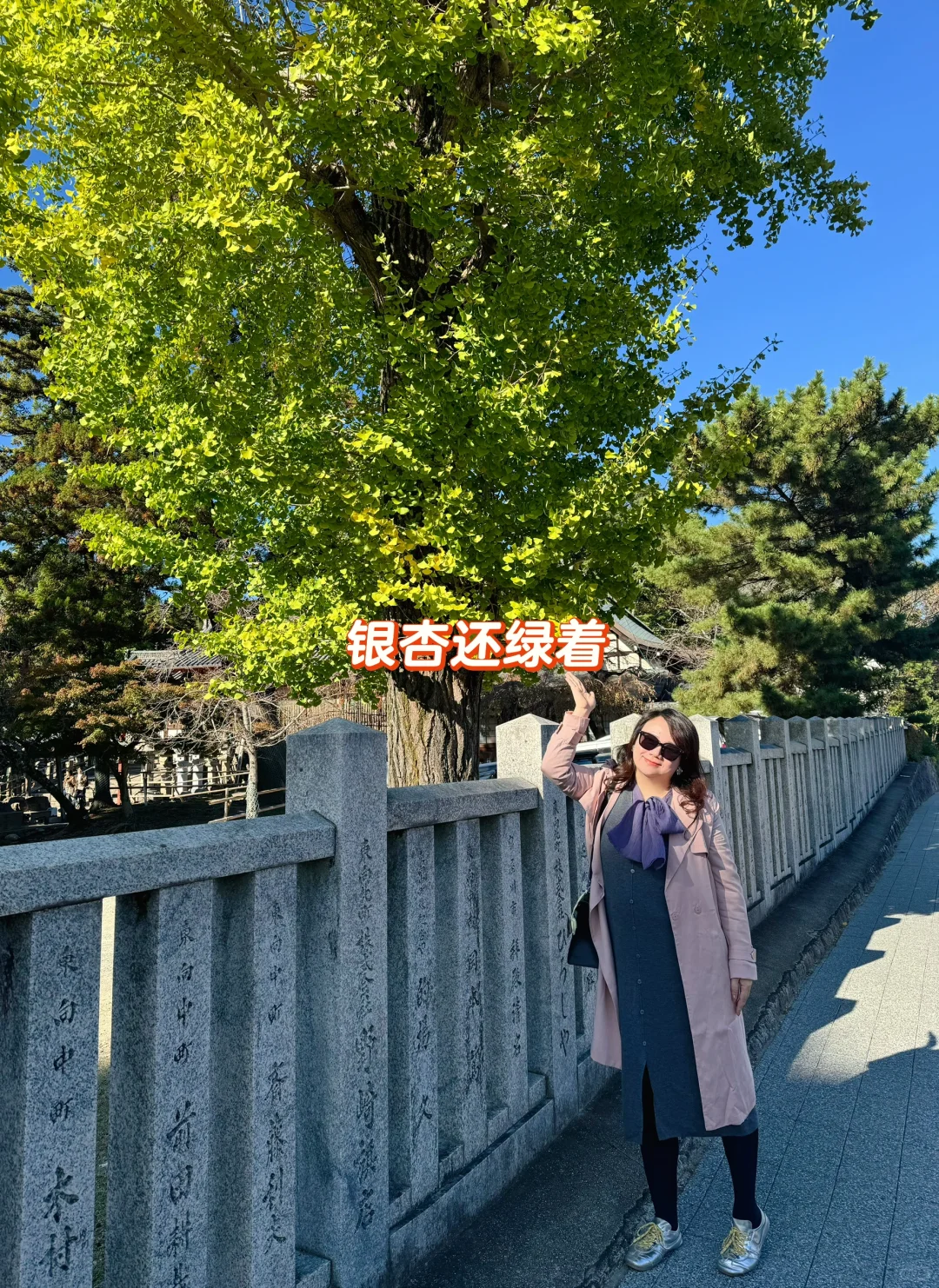 11/08 奈良红叶现状🍁