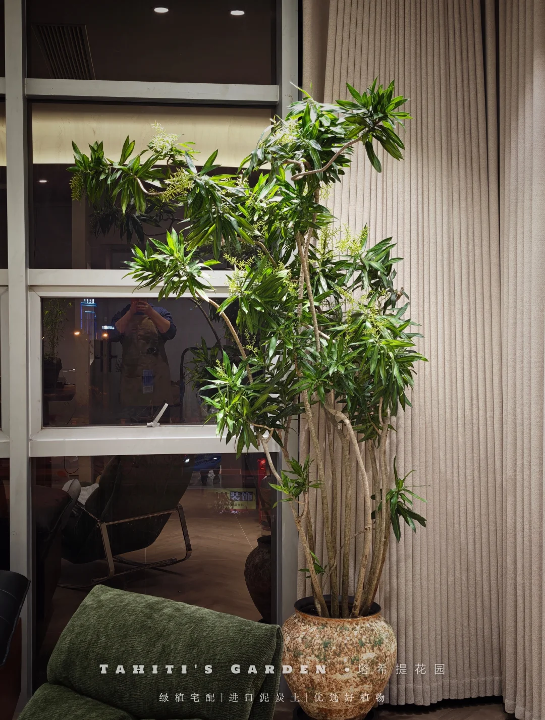 绿植宅配｜把自然搬进家，让生活慢下来