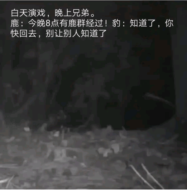 万万没想到，他俩暗地里还有这样的勾当[捂脸]