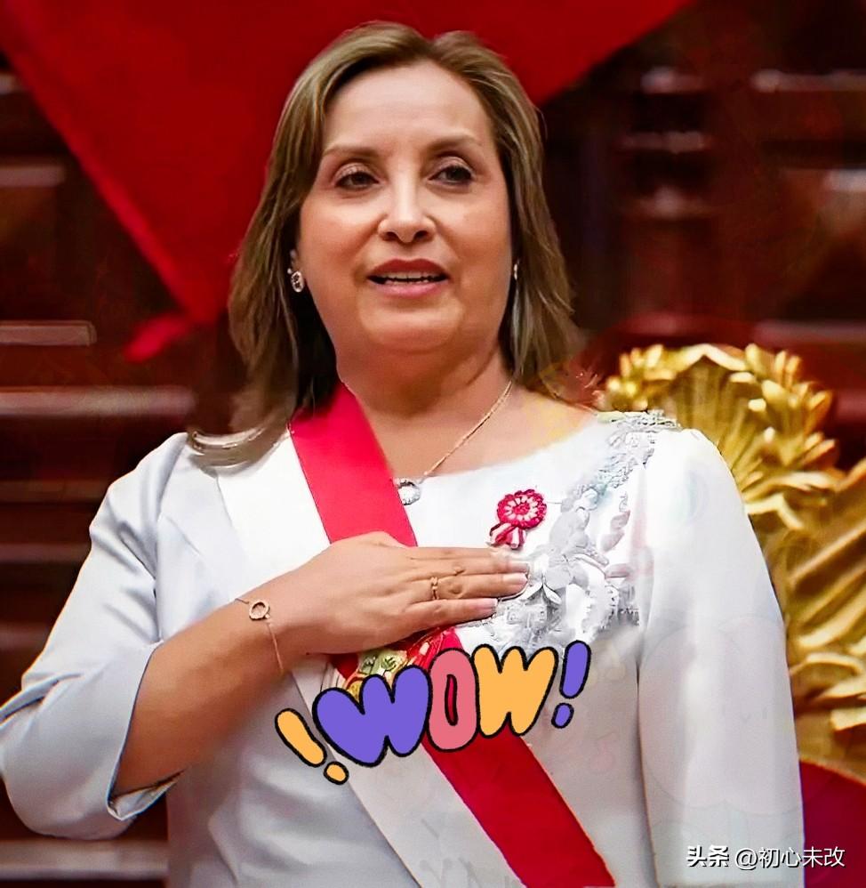 秘鲁这一刀，砍得真狠！
3月24日，秘鲁应固特异秘鲁公司申请，宣布对原产于中国的