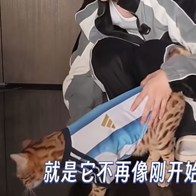 bigfish你的衣服怎么盖不住肚肚🤏🏻 