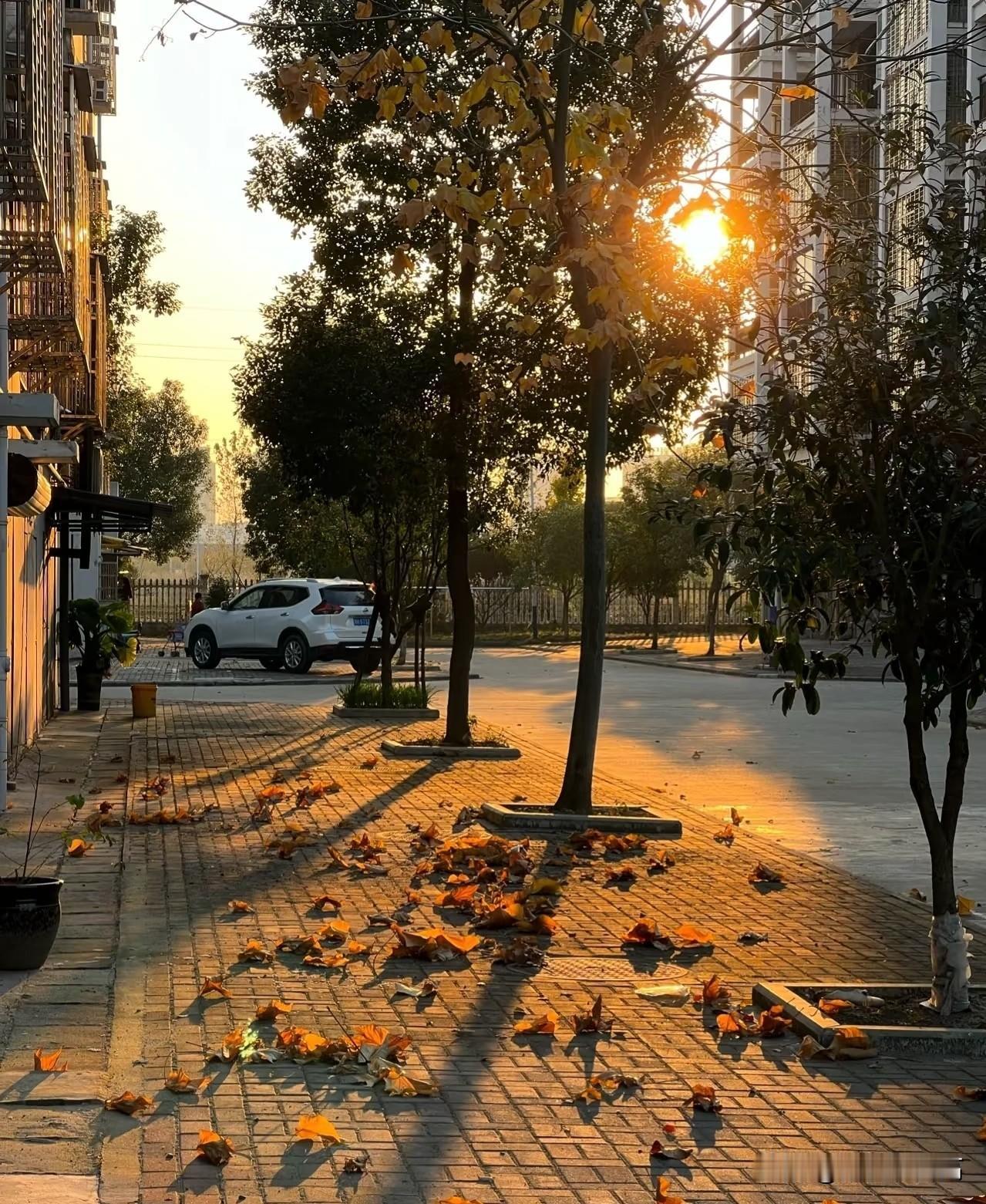 天气转凉，这份温暖叮嘱请查收
 
银川 深秋的风里已经有了寒意，裹紧外套的瞬间，