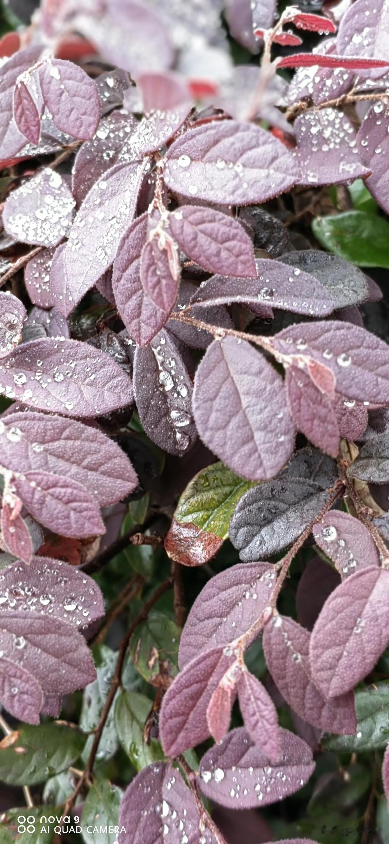 不了解全程不评论！我们生活中的外卖员多是马路杀手，人行道飞车，步行街横冲直撞，老