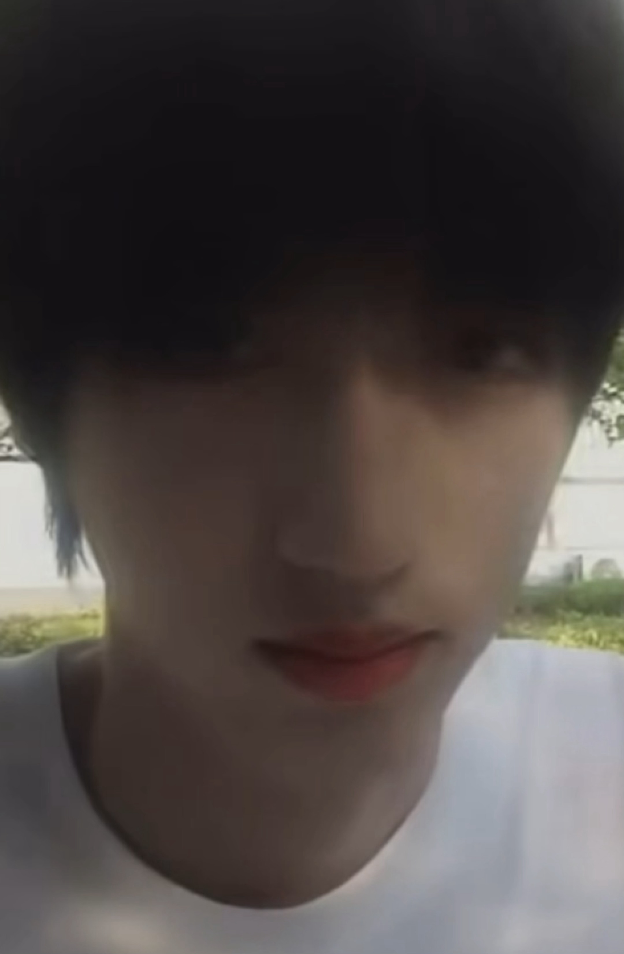 当小狗不小心获得了掌镜权： 