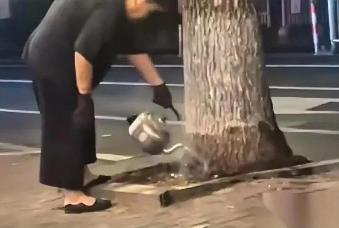 太吓人！沈阳大妈每晚提壶出门

这是浇树还是毁树？小区邻居发现，大妈连续两周往路