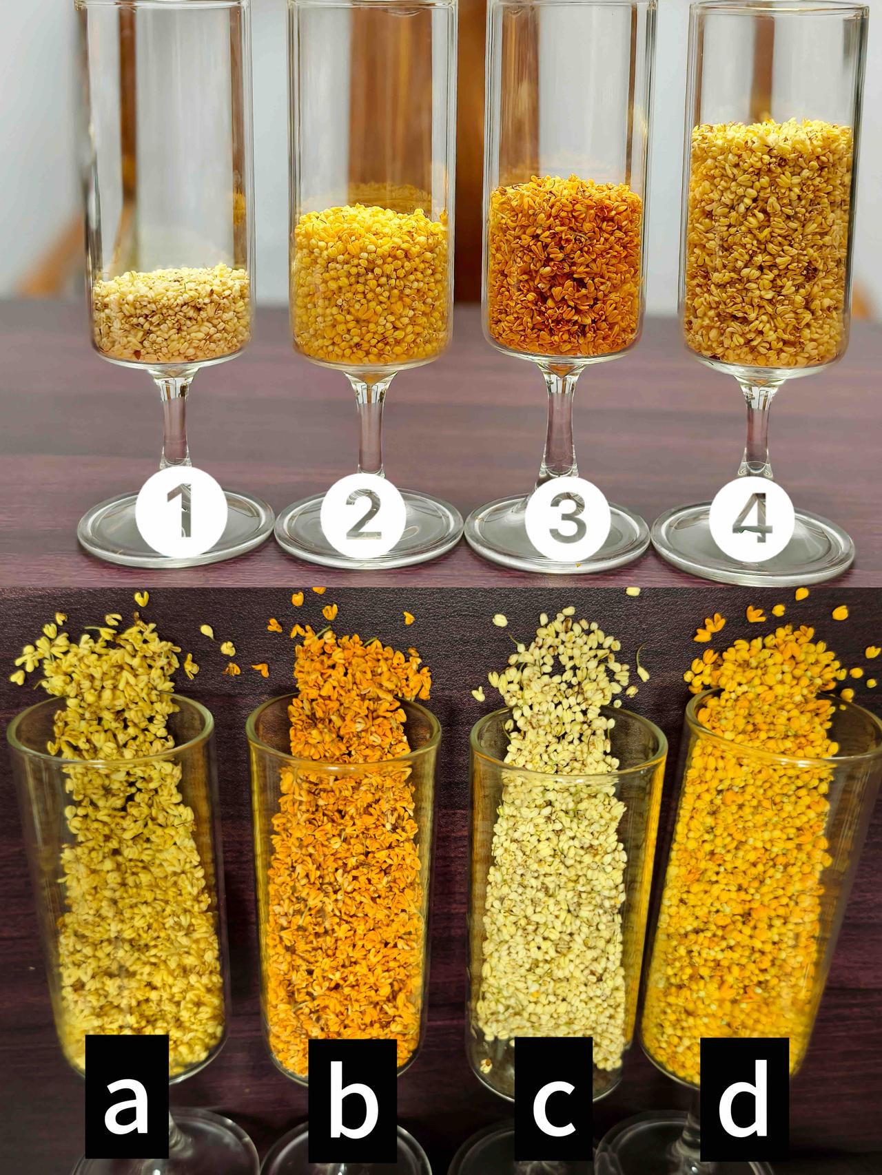 连连看🫢这4种桂花，分的清吗？
桂花分金桂、银桂、丹桂、四季桂，4个大类。
能