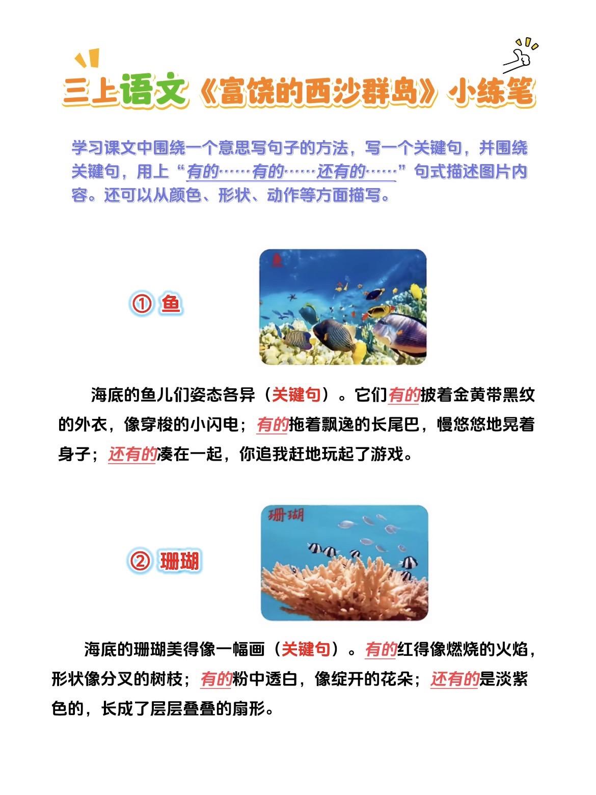 三年级上册《富饶的西沙群岛》课后习题小练笔。 学习课文中围绕一个意思写...