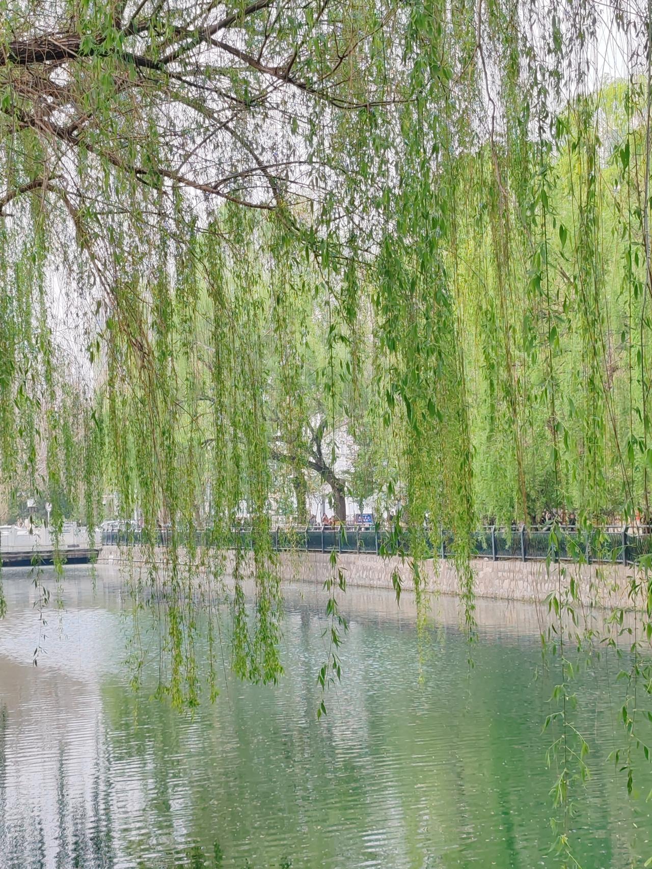 其实这事并非王先生不想给非婚生子，是没法给非婚生子，因为别人不知道他有非婚生子。